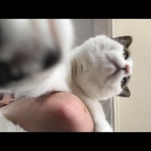 Meet your Posher, Julia